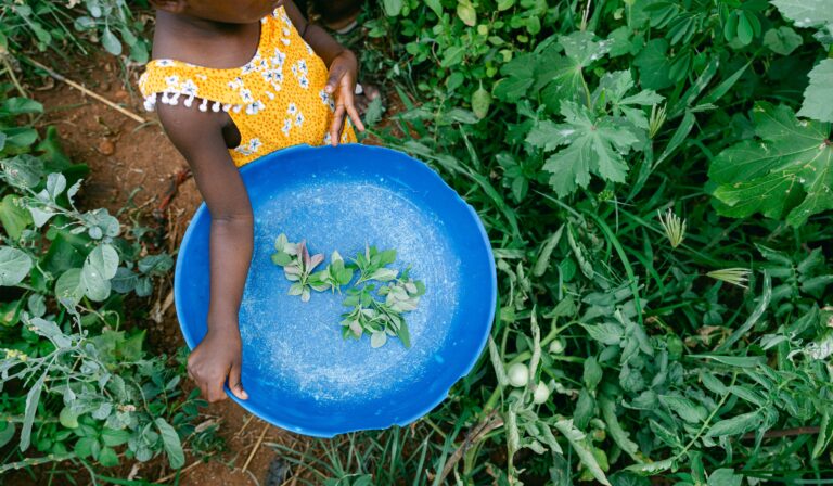 CH1953992 Flocy three holding a bowl at her family garden in Balaka district Malawi